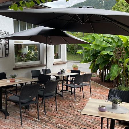 Hotel Winzerschenke Bad Neuenahr-Ahrweiler Exteriér fotografie