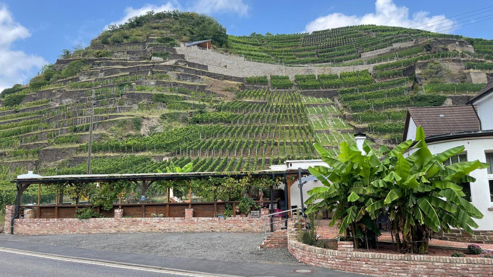 Hotel Winzerschenke Bad Neuenahr-Ahrweiler Exteriér fotografie